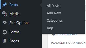 Blog posts in wordpress screen shot