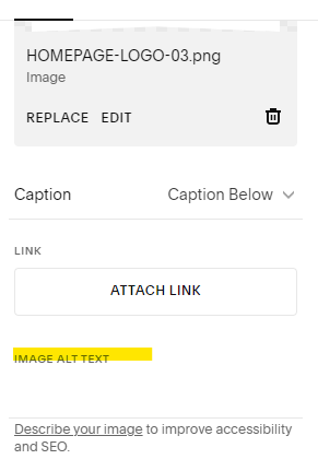 A screen in squarespace where you can add alt text