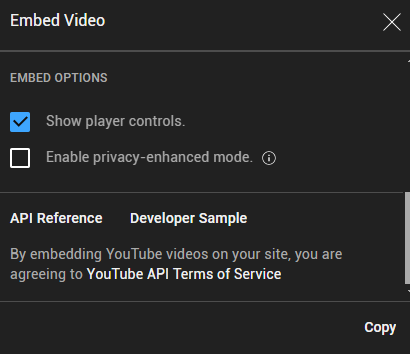 Screenshot showing the Youtube embed video options with Show player controls set